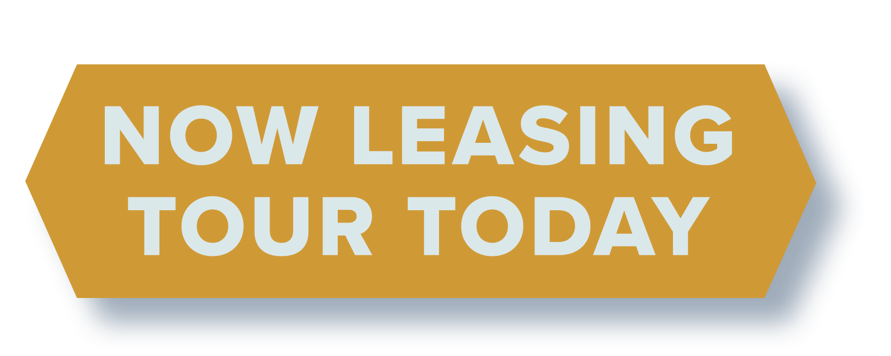 New Leasing